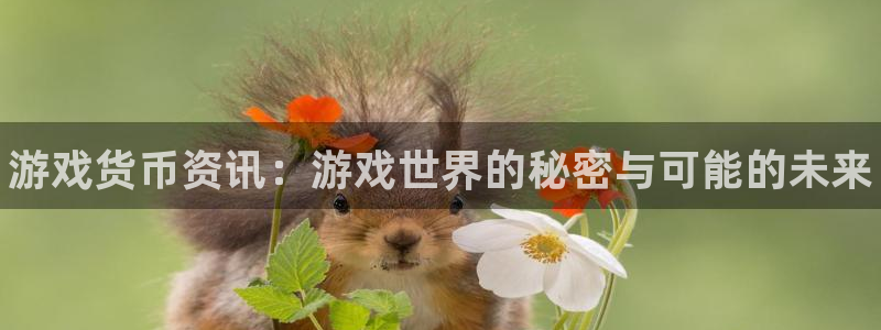 星欧娱乐注册测速：游戏货币资讯：游戏世界的秘密与可能的未来