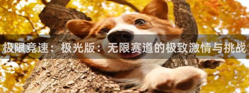 星欧娱乐平台：极限竞速：极光版：无限赛道的极致激情与挑战