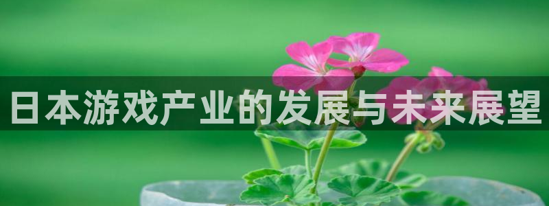 星欧娱乐注册登录：日本游戏产业的发展与未来展望