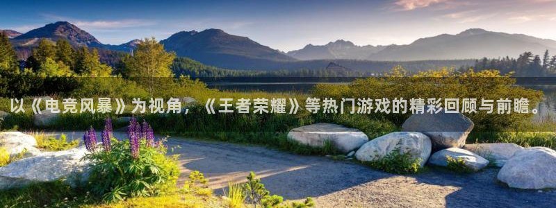 星欧娱乐官方登录网址：以《电竞风暴》为视角，《王者荣耀》等热