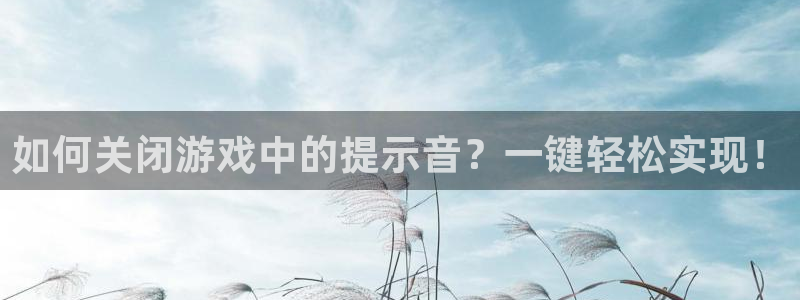 星欧娱乐app：如何关闭游戏中的提示音？一键轻松实现！