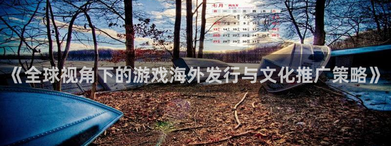 星欧娱乐平台注册资金多少：《全球视角下的游戏海外发行与文化推