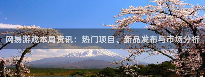 星欧娱乐测速登陆：网易游戏本周资讯：热门项目、新品发布与市场